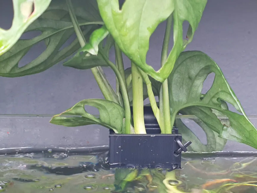 Support pour plantes d'aquarium
