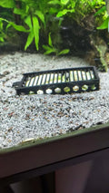 Pièges à escargots d'aquarium