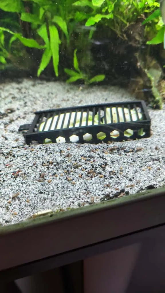 Pièges à escargots d'aquarium