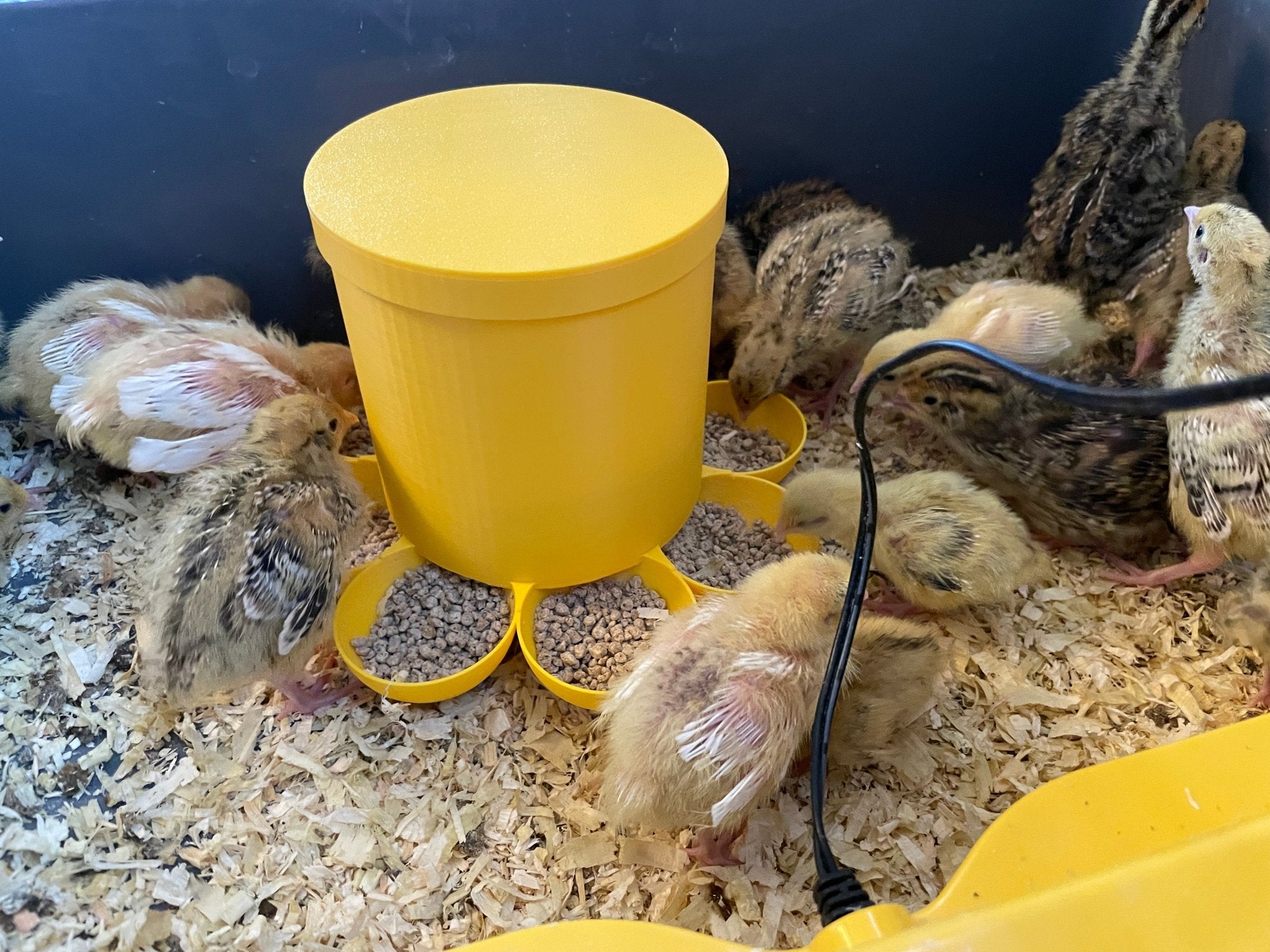 Mangeoire à 8 stations pour poussins de caille ou de poulet - Variashop