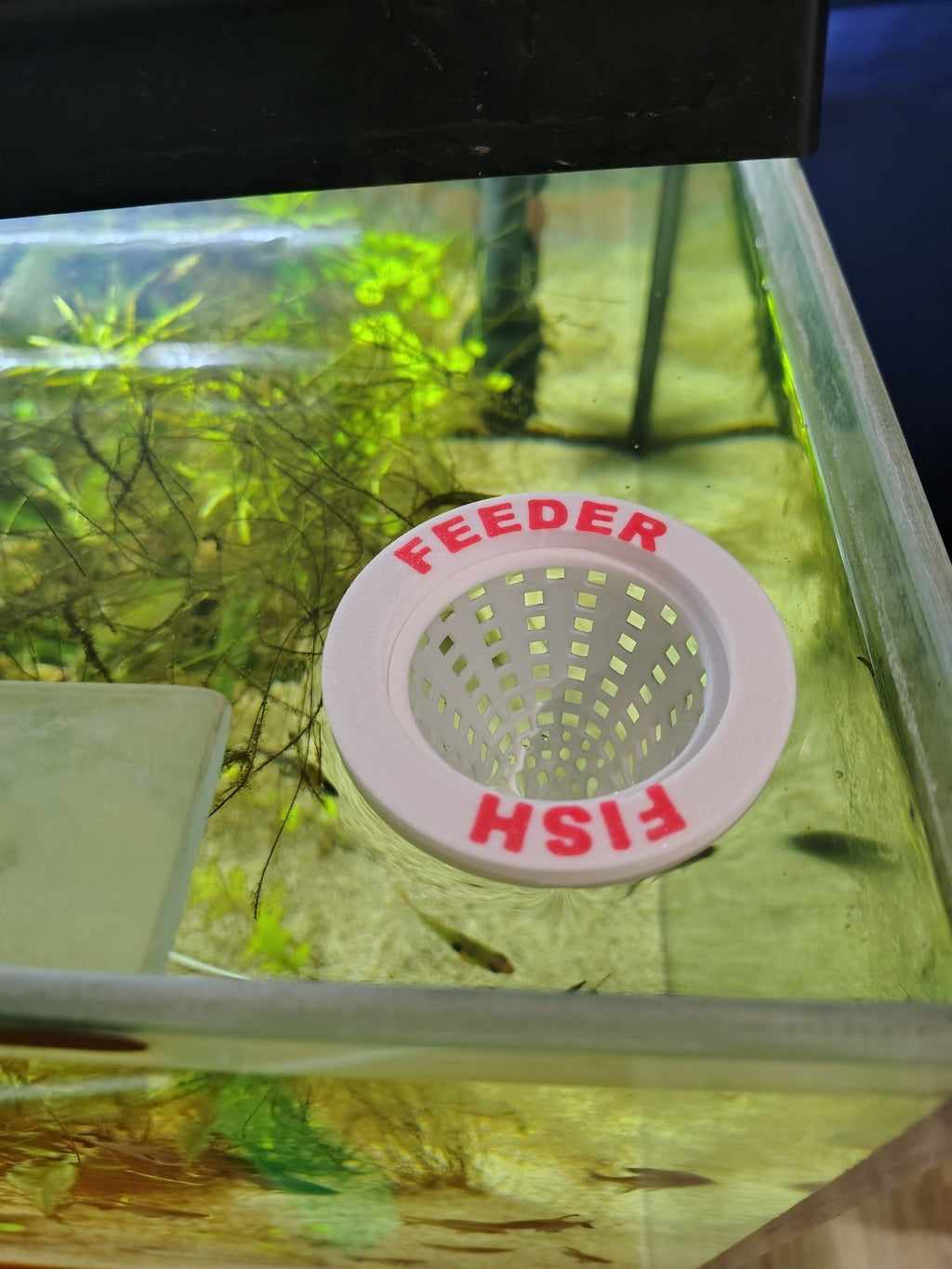 Nourrisseur flottant pour aquarium - Variashop