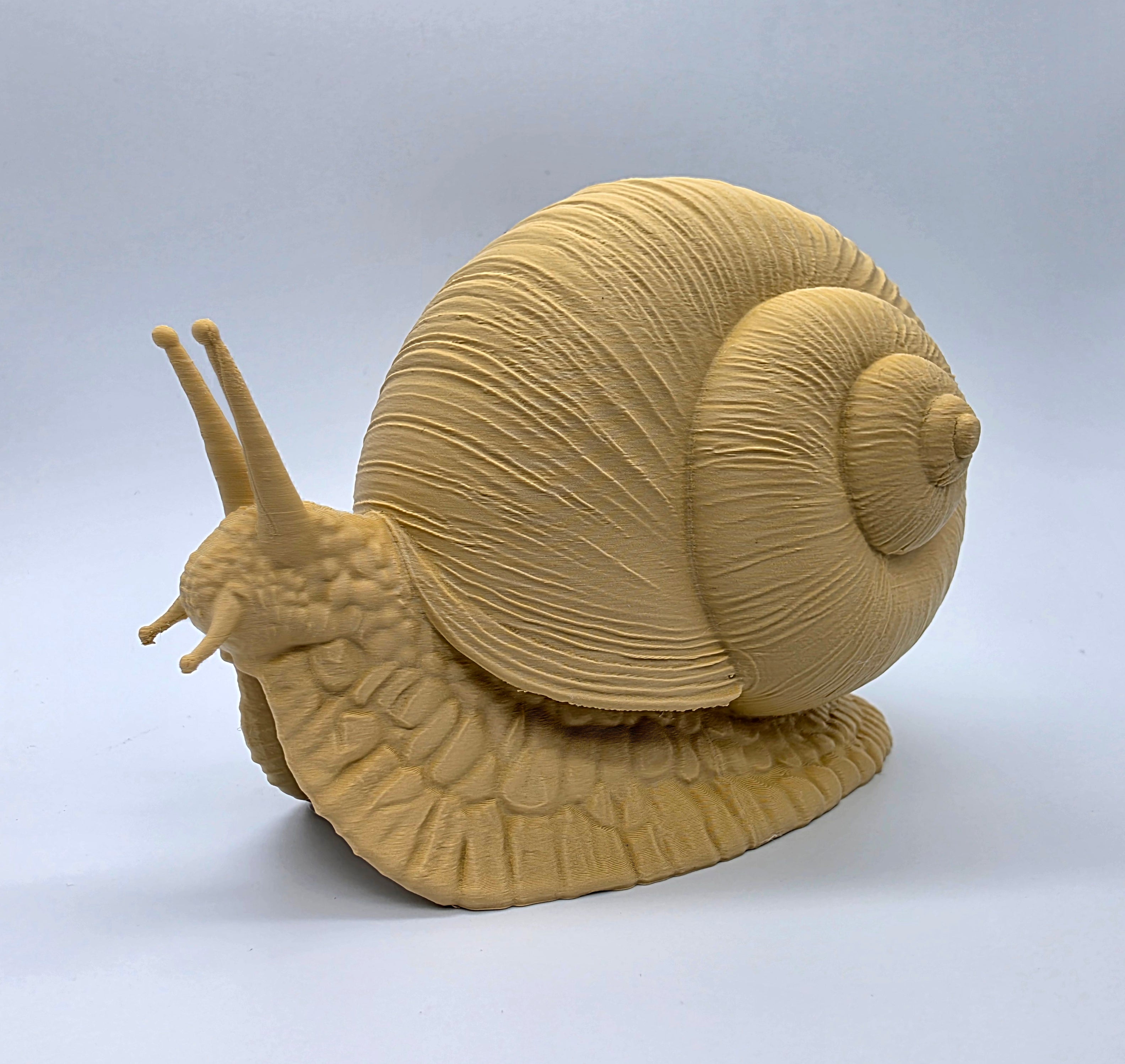 Escargot géant décoratif réaliste beige, coquille texturée et tentacules visibles.