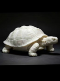 Sculpture tortue blanche avec motif gravé sur la carapace, tête et pattes détaillées